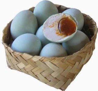 Penjelasan Bentuk Morfologi Telur