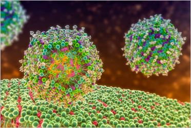 Mengenal Adenovirus, Penyebab, Gejala dan cara Pencegahannya